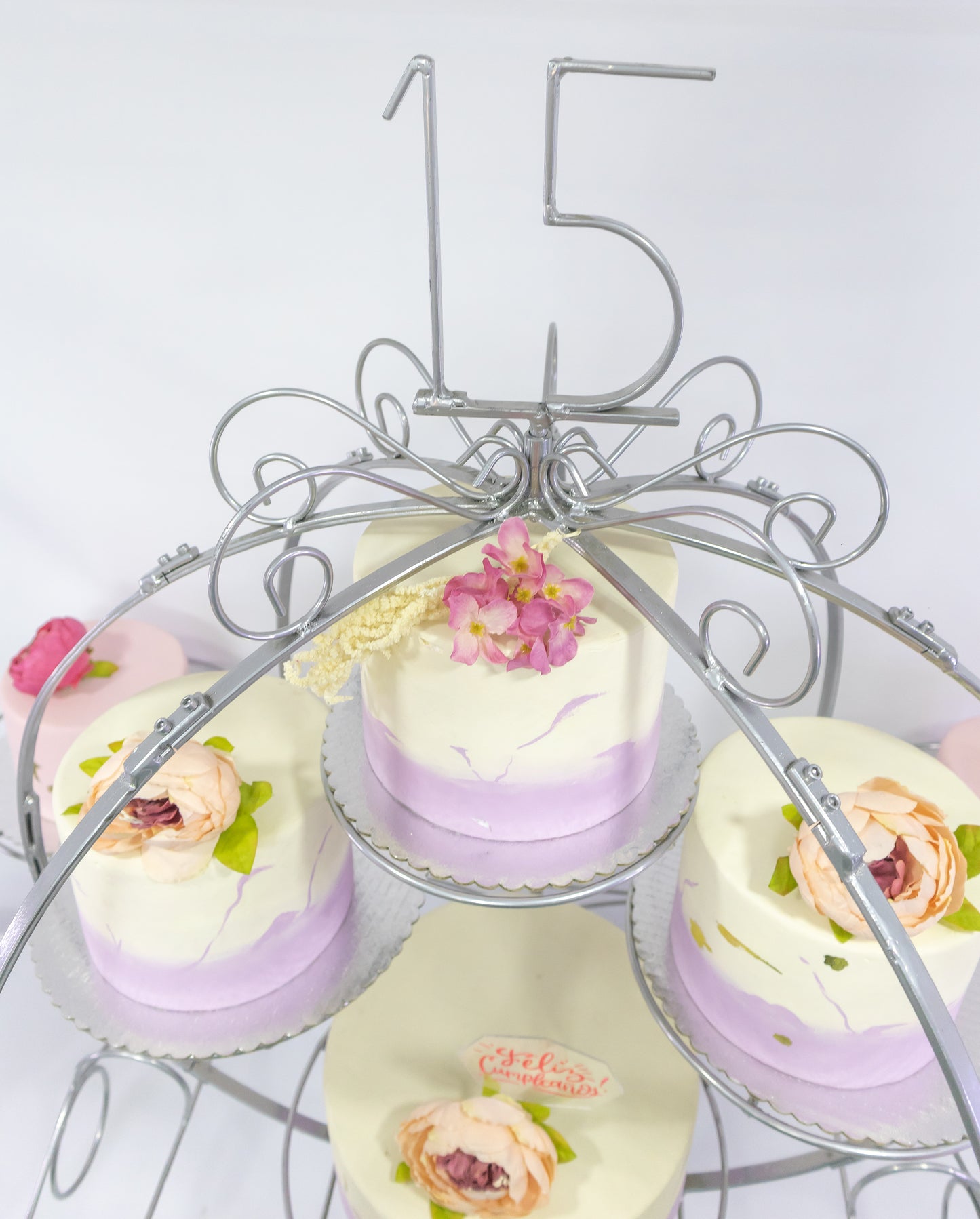 Carruaje cenicienta de 8