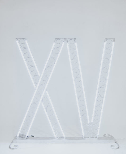 Fig. XV Romano con luz