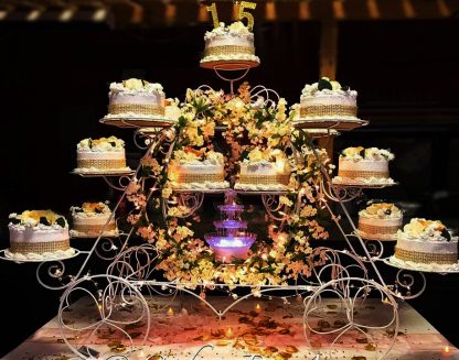 Carruaje cenicienta de 15