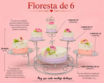 Forest of 6