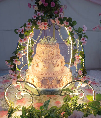 1 carriage with light