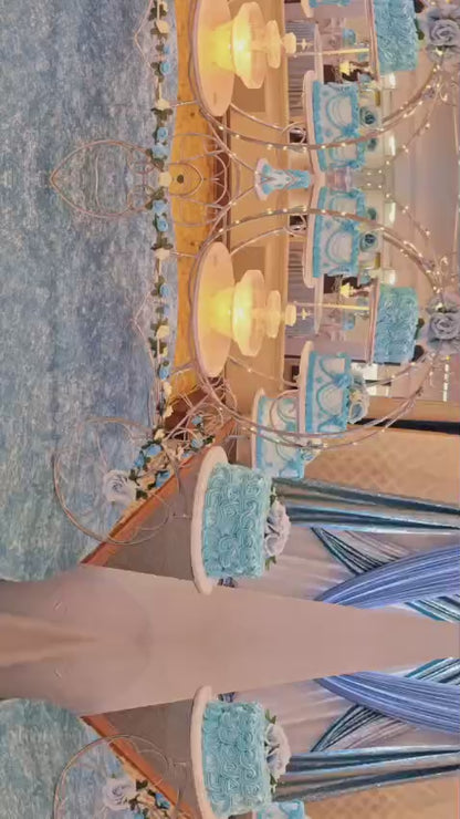 Cinderella carriage of 8